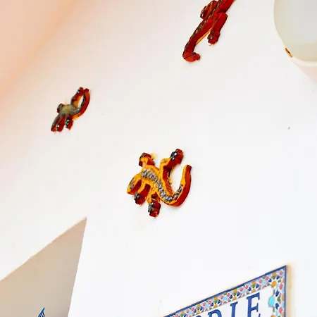 Kos - Elodie Paradise Mogán